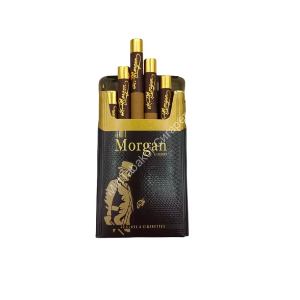 Сигареты Morgan Cherry (Морган Вишня) King Size микс